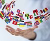 Produktbild zu Internationale Garantie - 1 Jahr - 10481