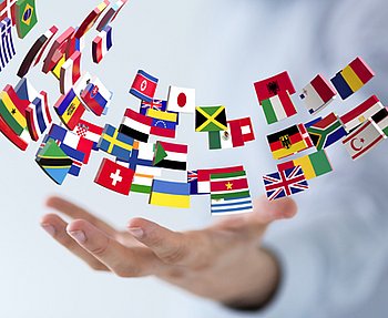 International guarantee - 1 year International guarantee - 1 year